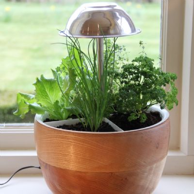 Lucy Neish (A2) Infra-red herb growing system